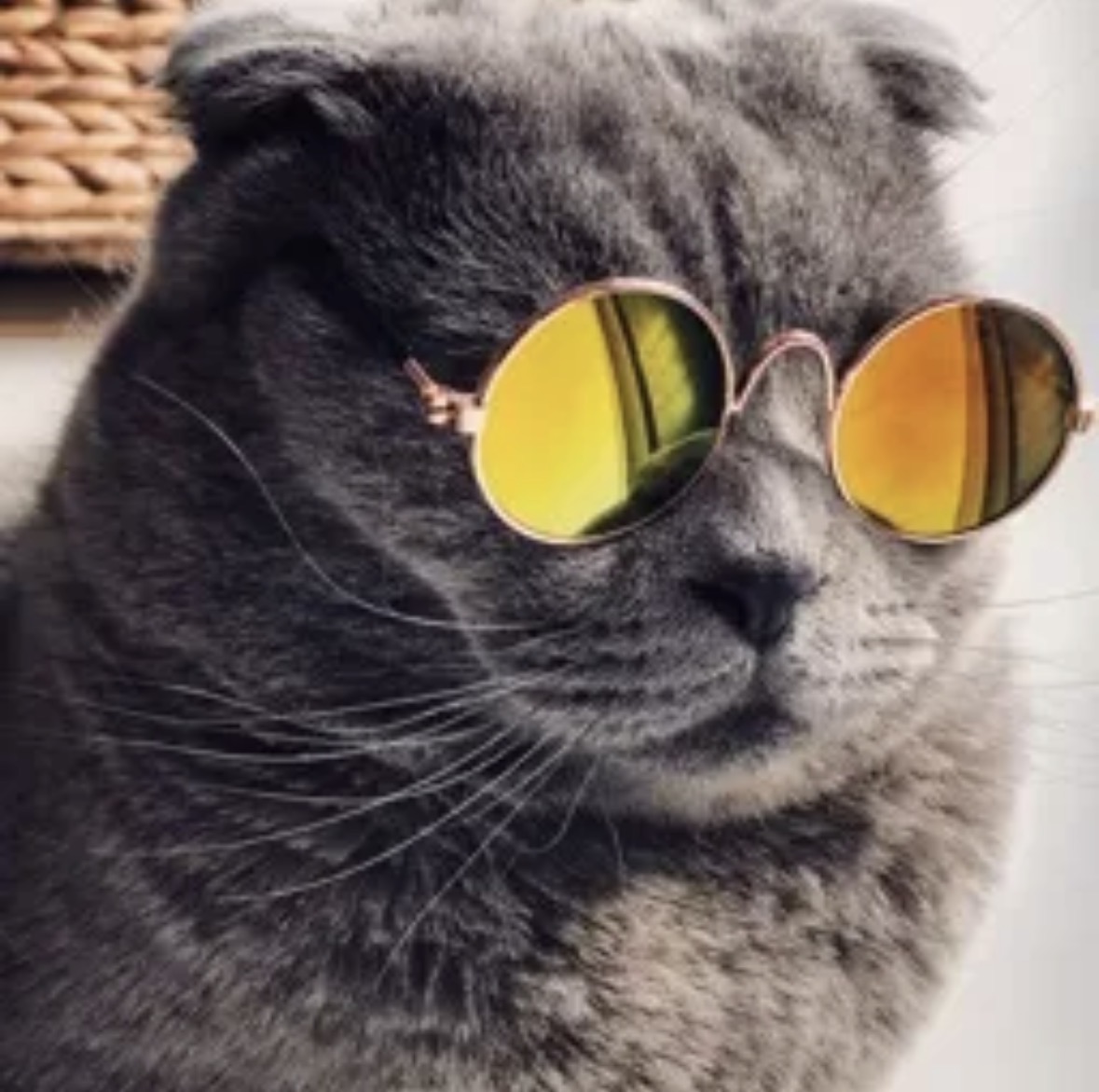 Photo de Piudzy